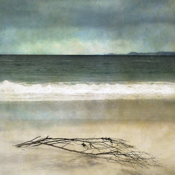 Driftwood Arisaig