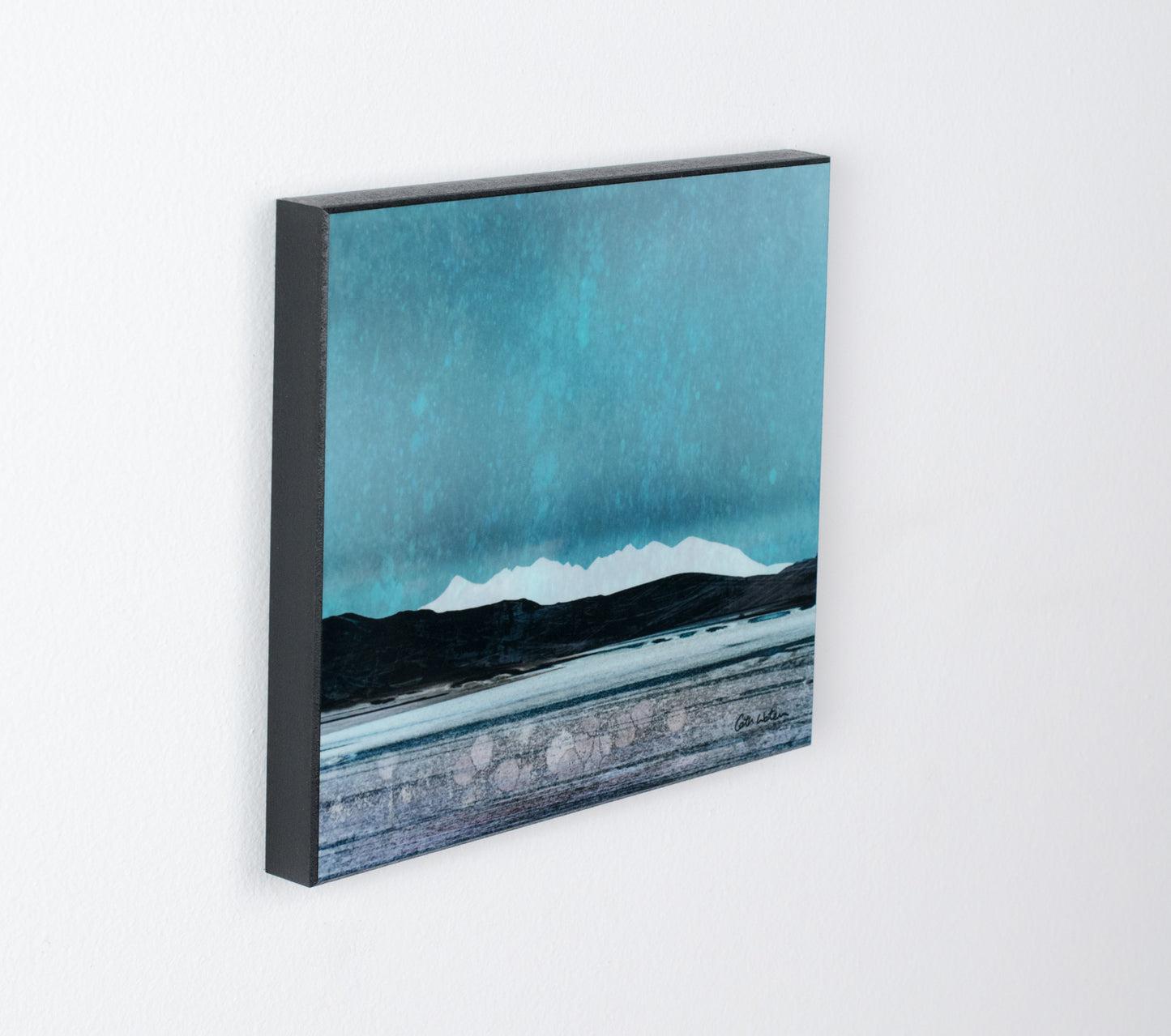 _DSC0499