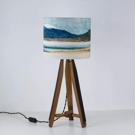 Winter Luskentyre Harris Lampshade