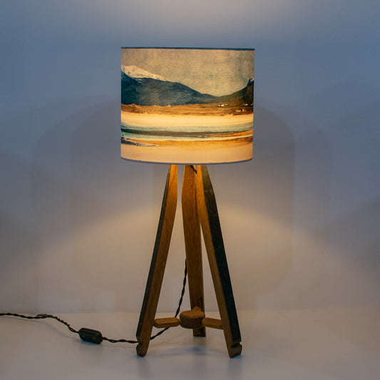 Winter Luskentyre Harris Lampshade