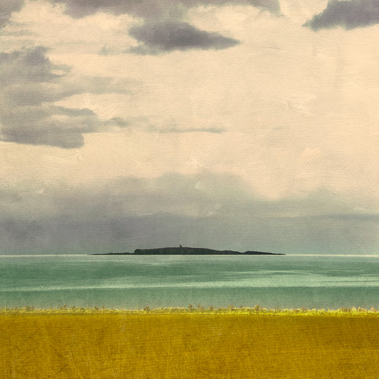 MY01 Isle of May East Lothian
